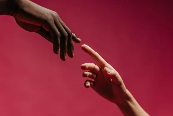 توني بيت كازينو الدعم